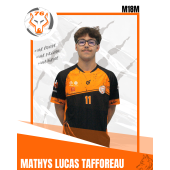 Mathys LUCAS-TAFFOREAU
